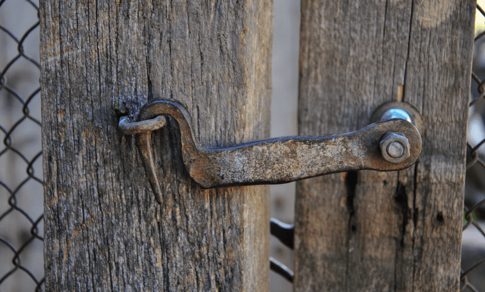 Content Moderation on a Shoestring